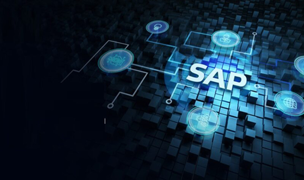 RISE with SAP implementation
