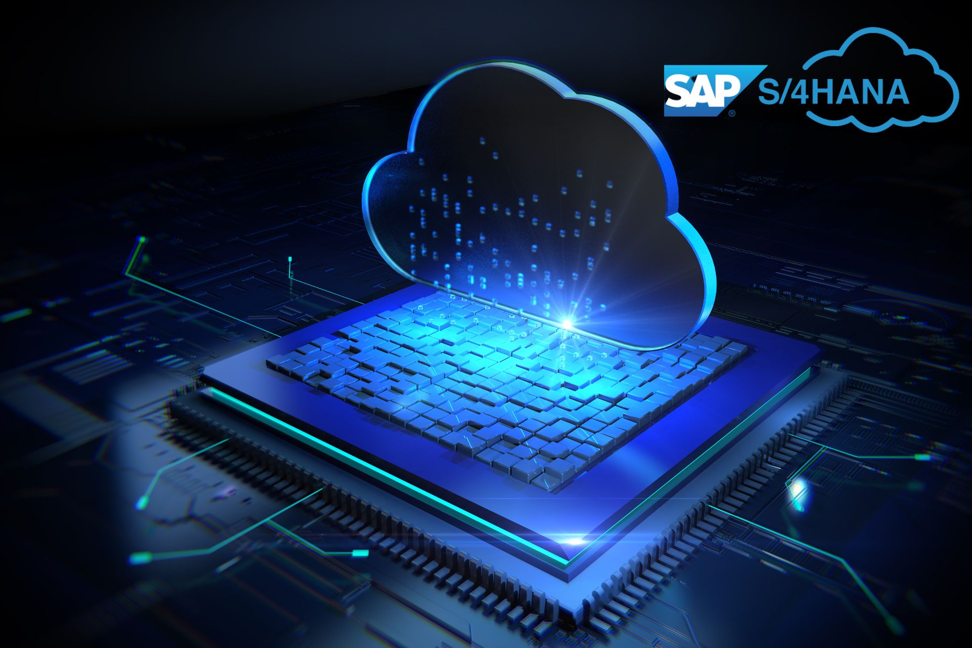 SAP S4 HANA Cloud Public Edition Dynamo Infotech